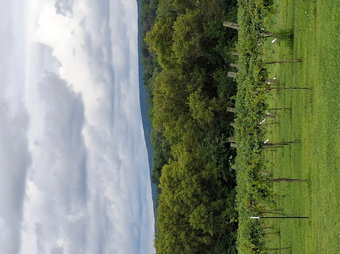 Balanced Rock Winery-巴拉布必去景点