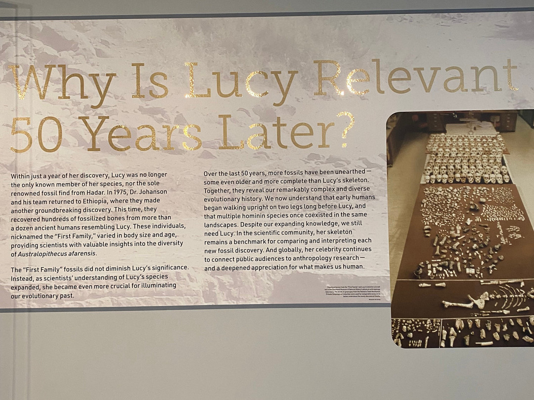 Cleveland Museum of Natural History-克利夫兰必去景点