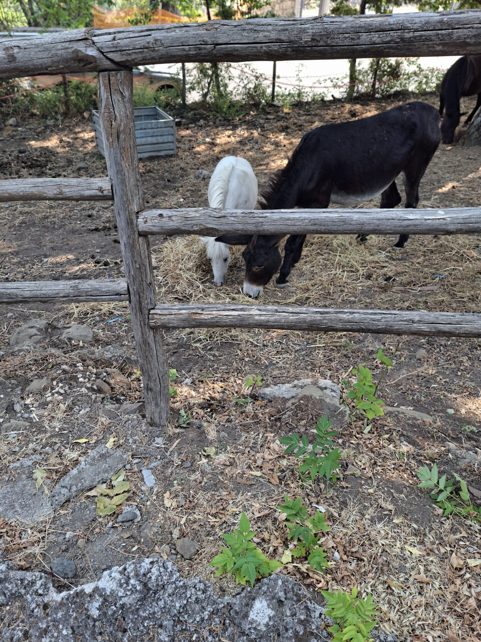 Agri Hotel Da Marianna-浴室