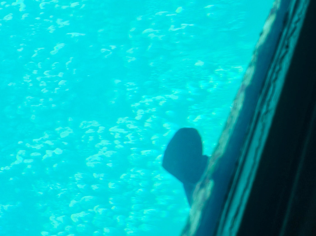 Royal Sea Scope-马萨阿拉姆必去景点