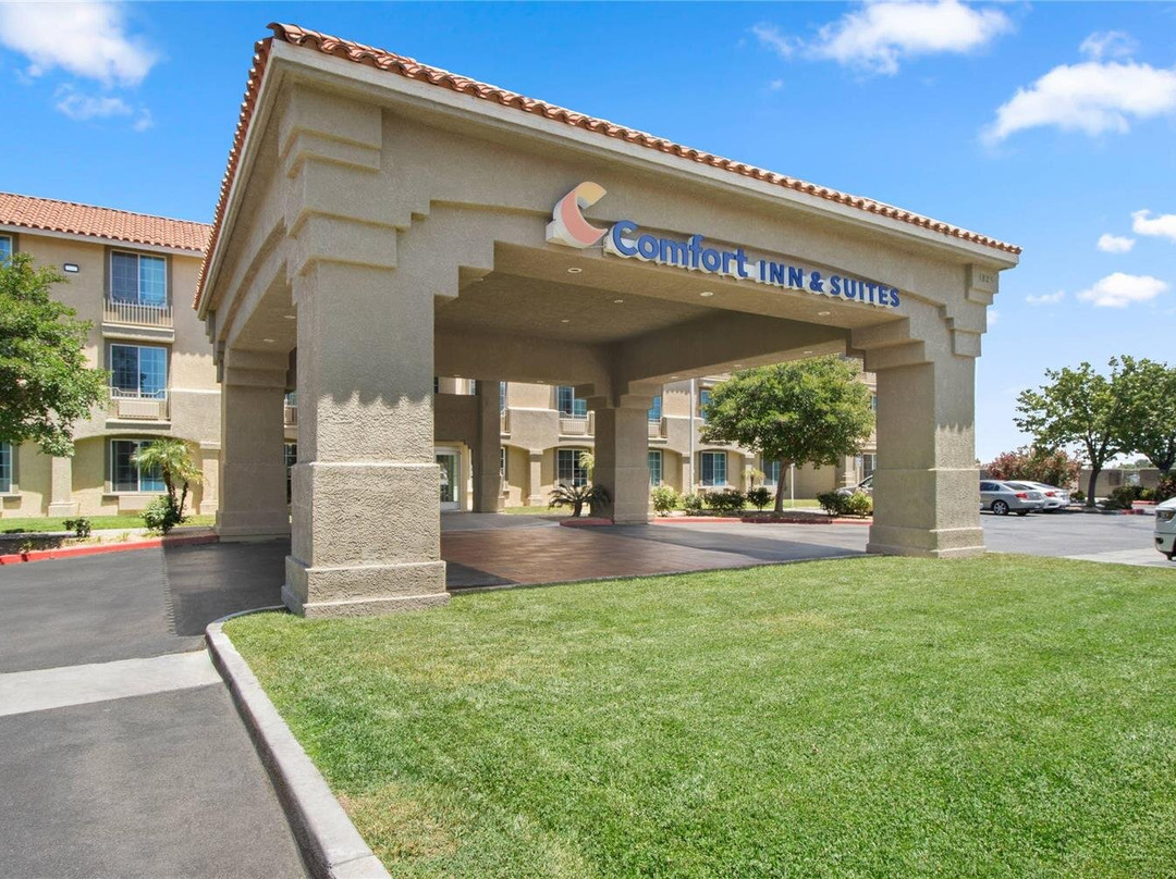Leona Valley酒店住宿-Comfort Inn & Suites Lancaster Antelope Valley