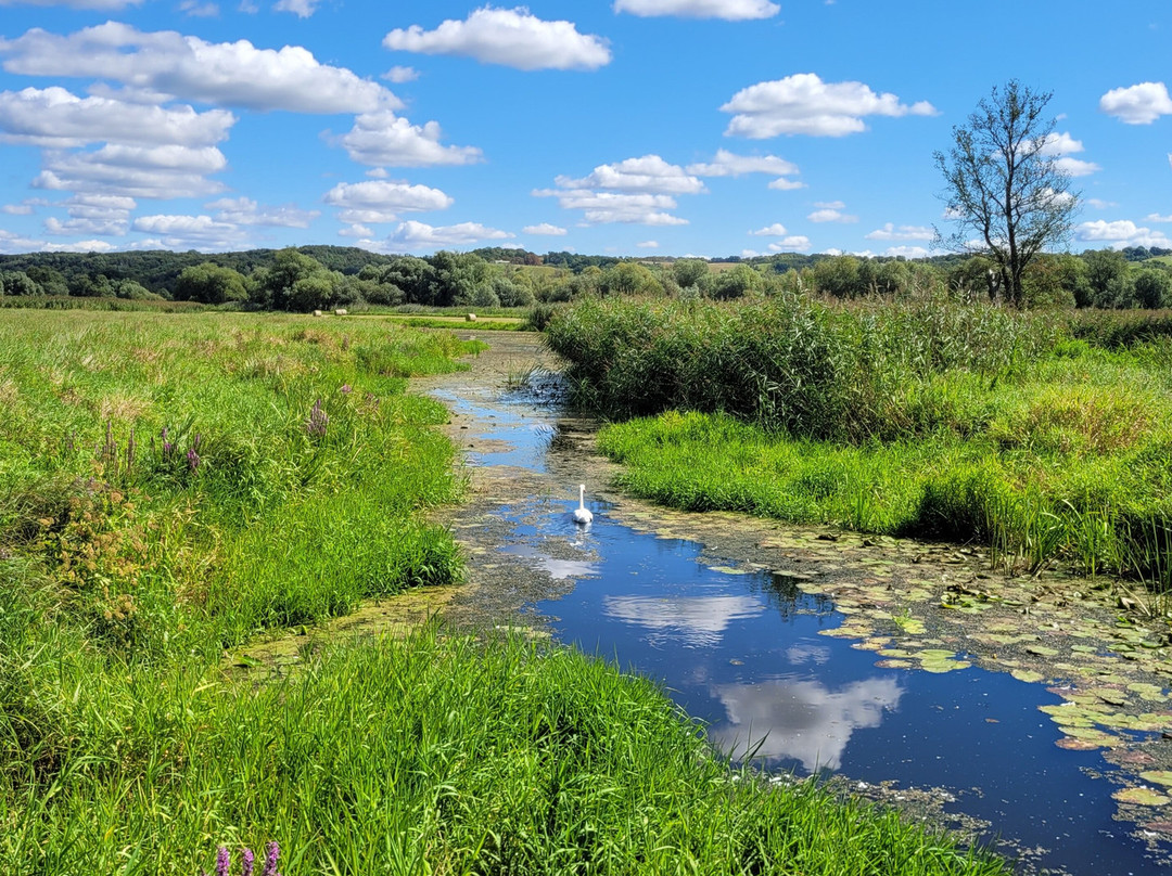Nationalpark Unteres Odertal-Schwedt必去景点