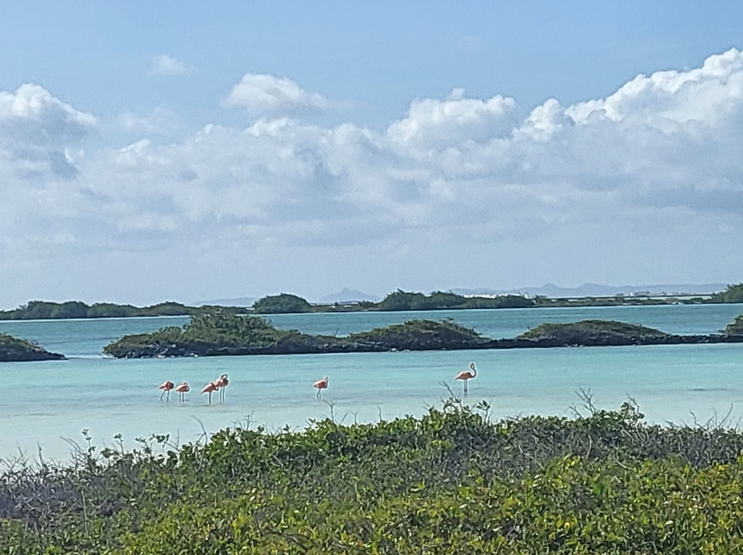 Pickup Huren Bonaire-Belnem必去景点