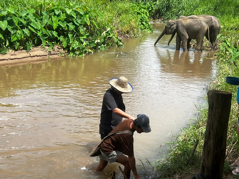 Smile Elephant Chiang Mai-夜登必去景点