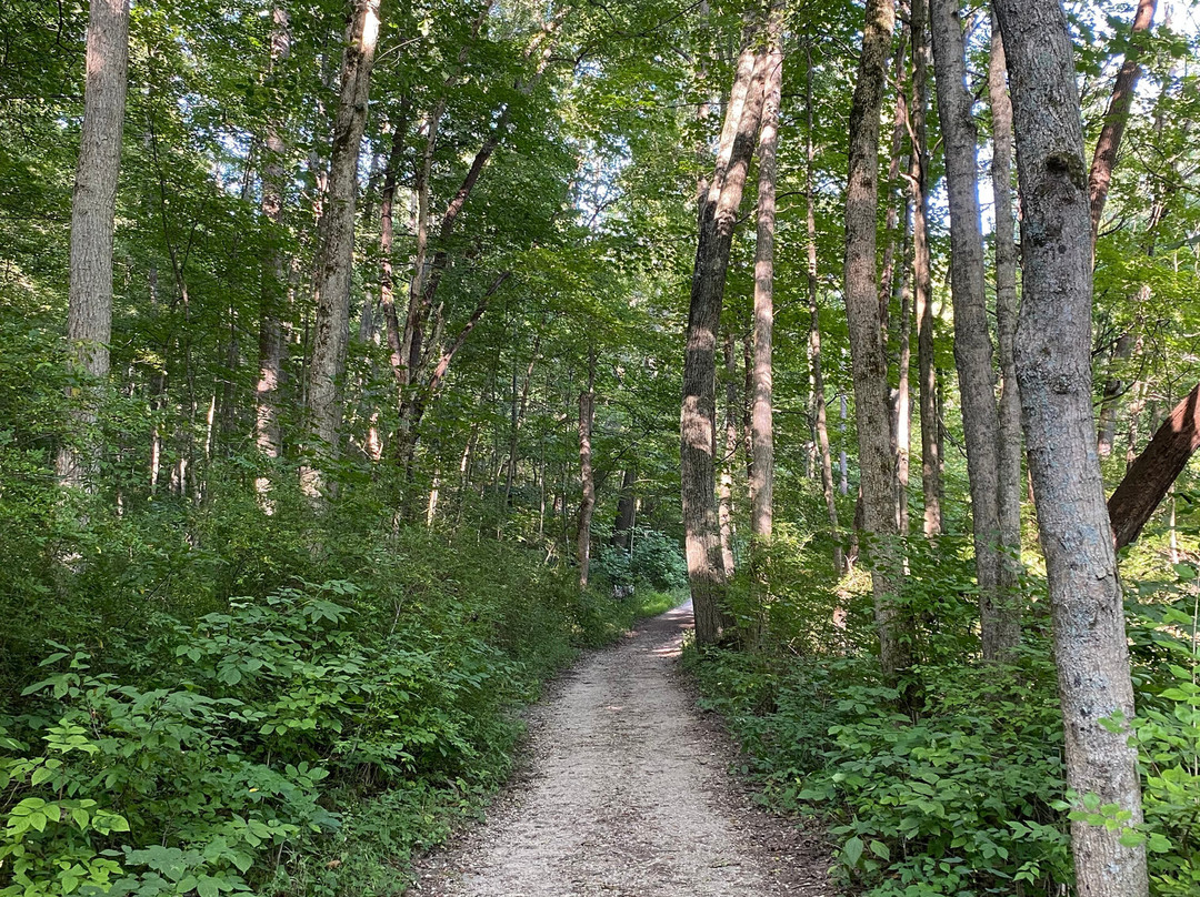 John Bryan State Park-Yellow Springs必去景点