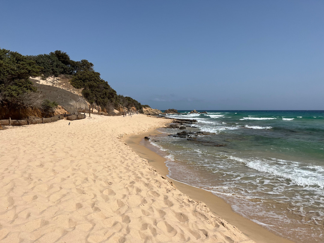 Spiaggia di Campana Dune-Chia必去景点