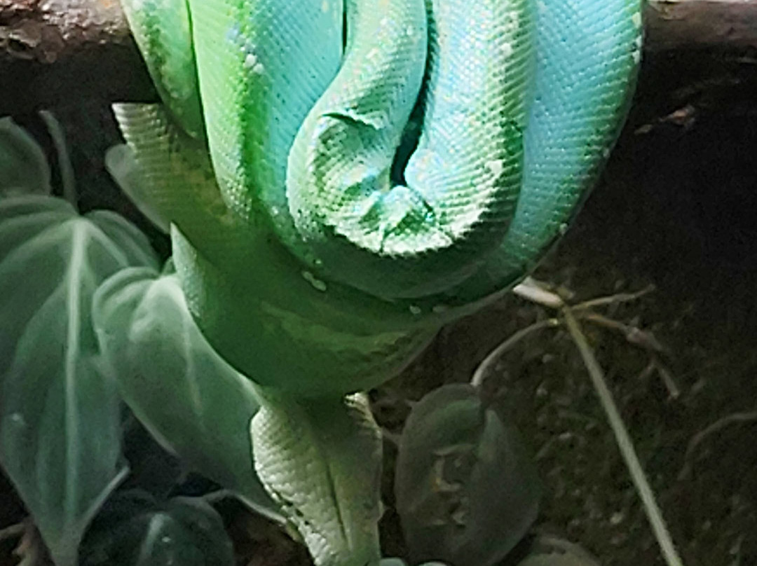 Les Jardins Animaliers Biotropica-Val de Reuil必去景点