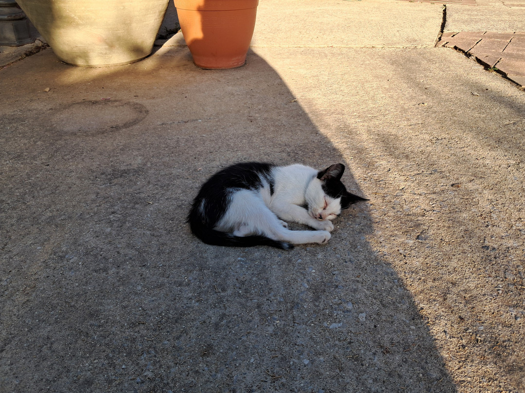 Agriturismo Ruralia主图