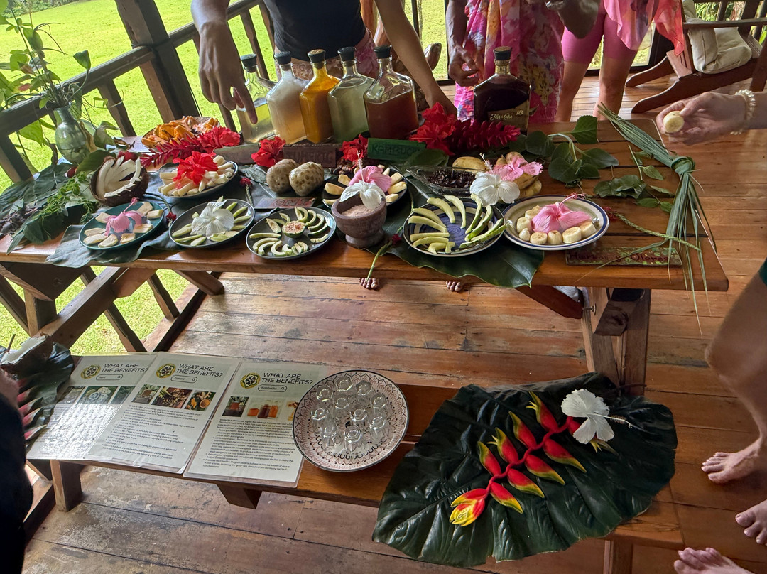 Shooting Star Studio-帕沃尼斯必去景点