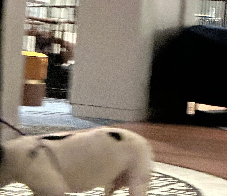 Le Méridien St. Louis Clayton主图