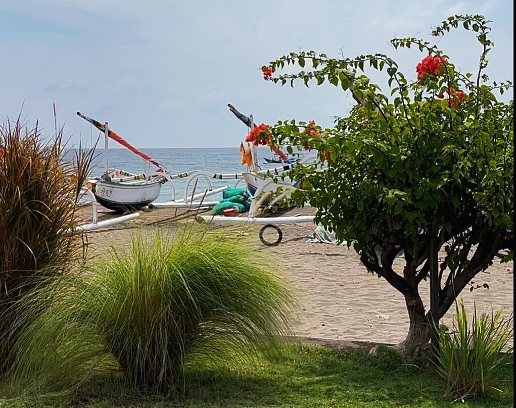 阿姆德棕榈花园海滩水疗度假村主图