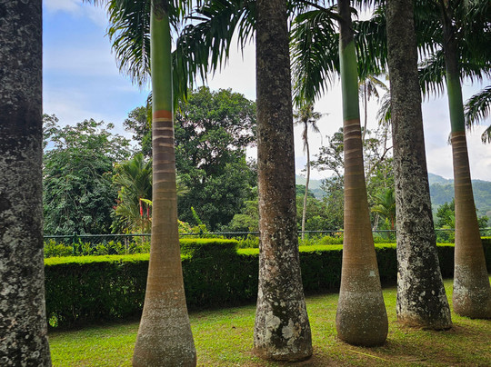 Ceylon Voyageur-Gampaha必去景点