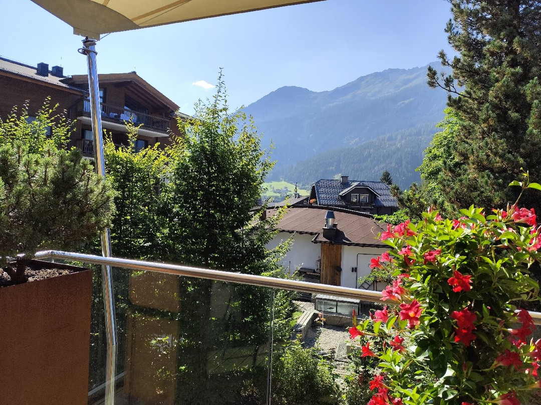 Hotel Kammerlander主图