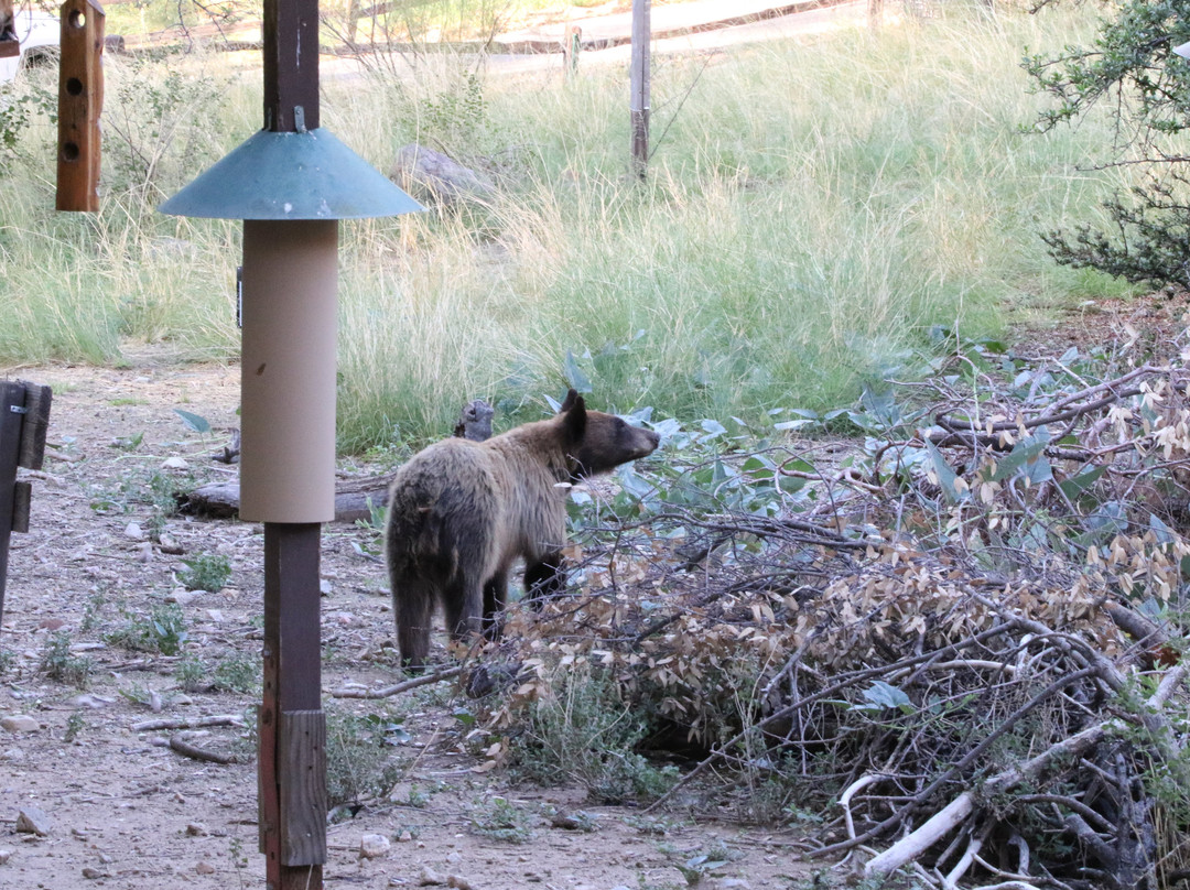 Santa Rita Lodge主图