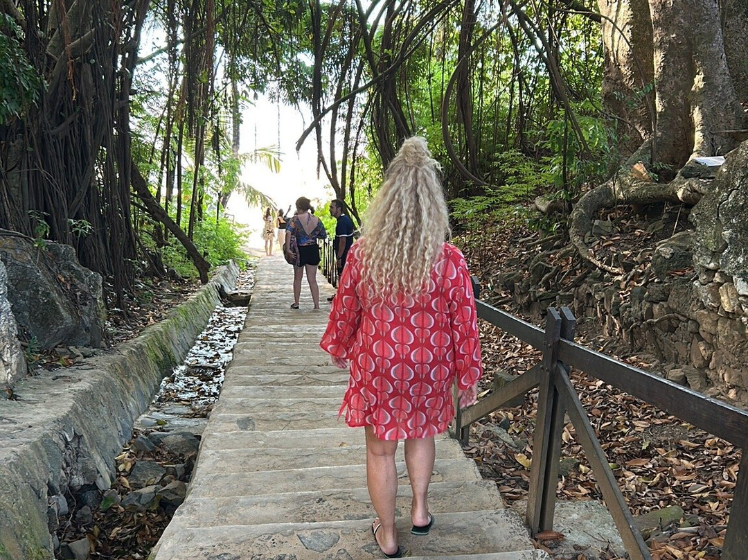 Vila dos Remedios-费尔南多-迪诺罗尼亚群岛必去景点