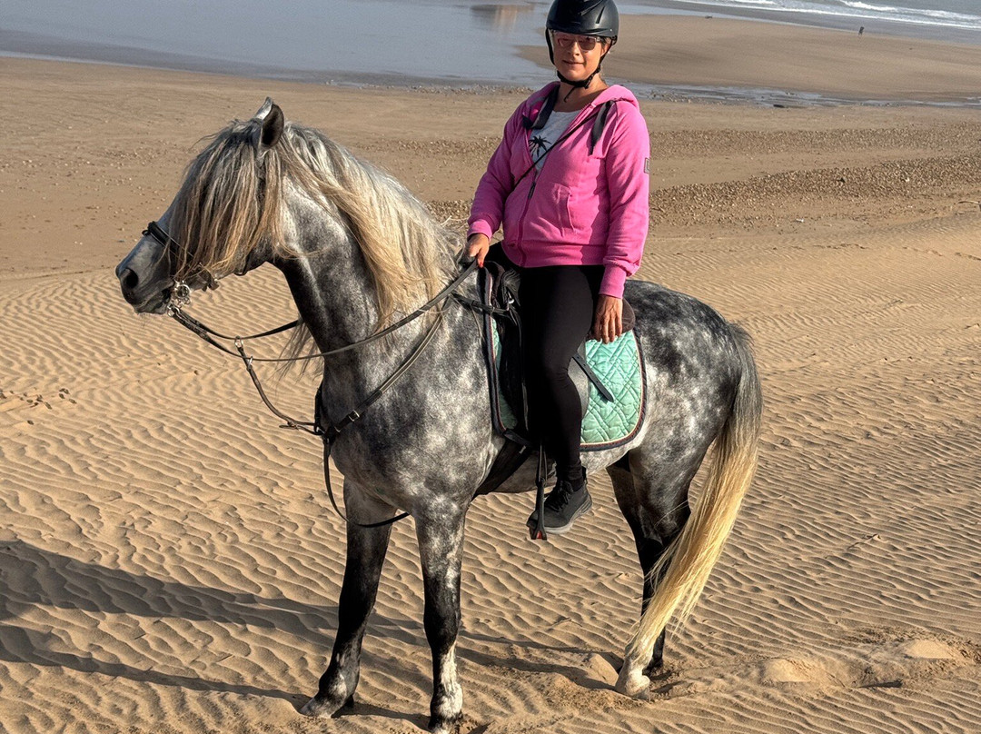 Ocean Ranch Essaouira-索维拉必去景点