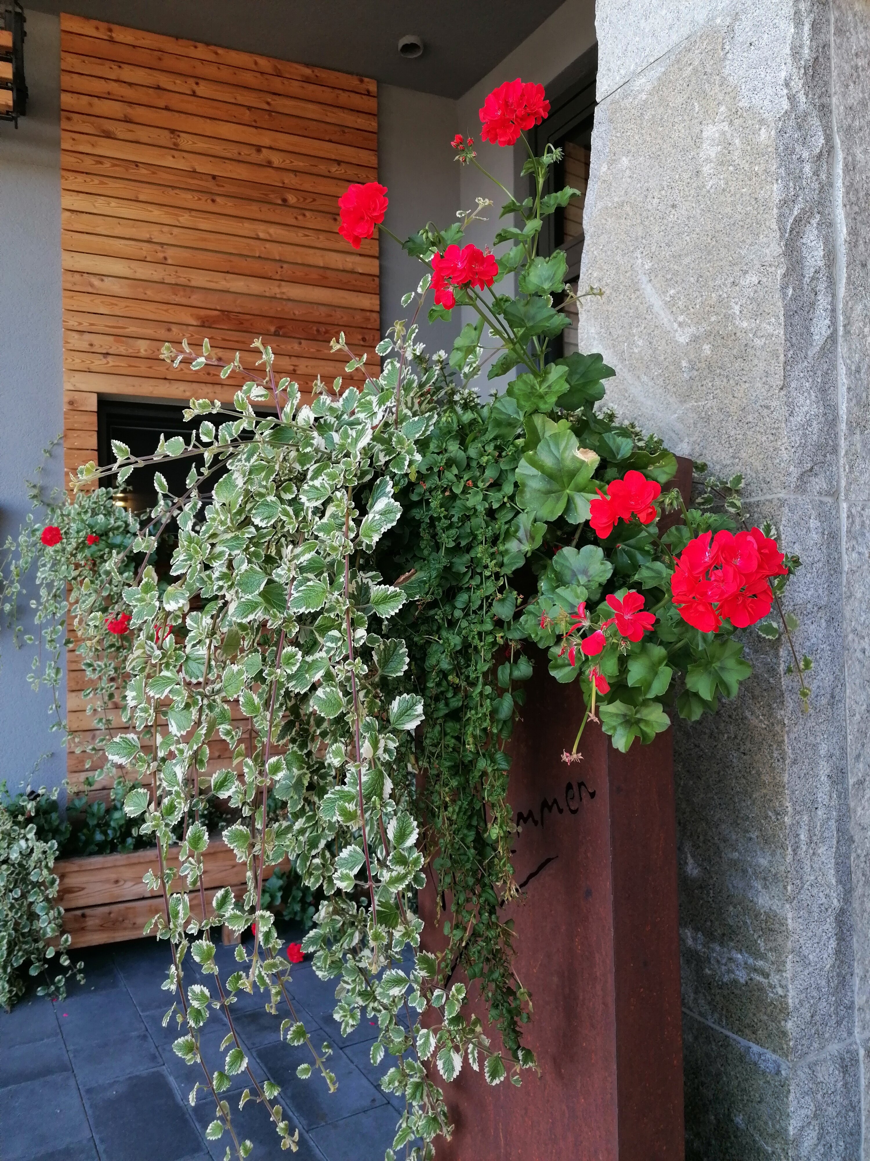 Hotel Sole-Felsen-Bad-官方