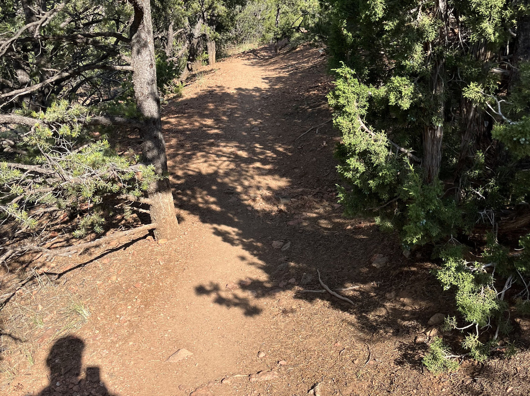 Dale Ball Trails-圣菲必去景点