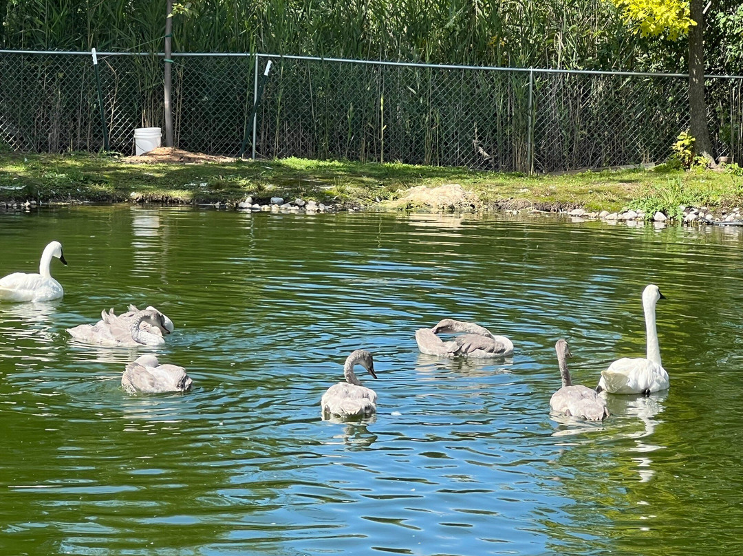 Trout Springs Winery-Greenleaf必去景点
