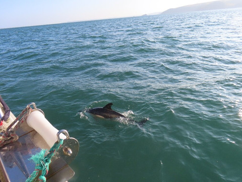 Boatsafari.co.uk-布里克瑟姆必去景点