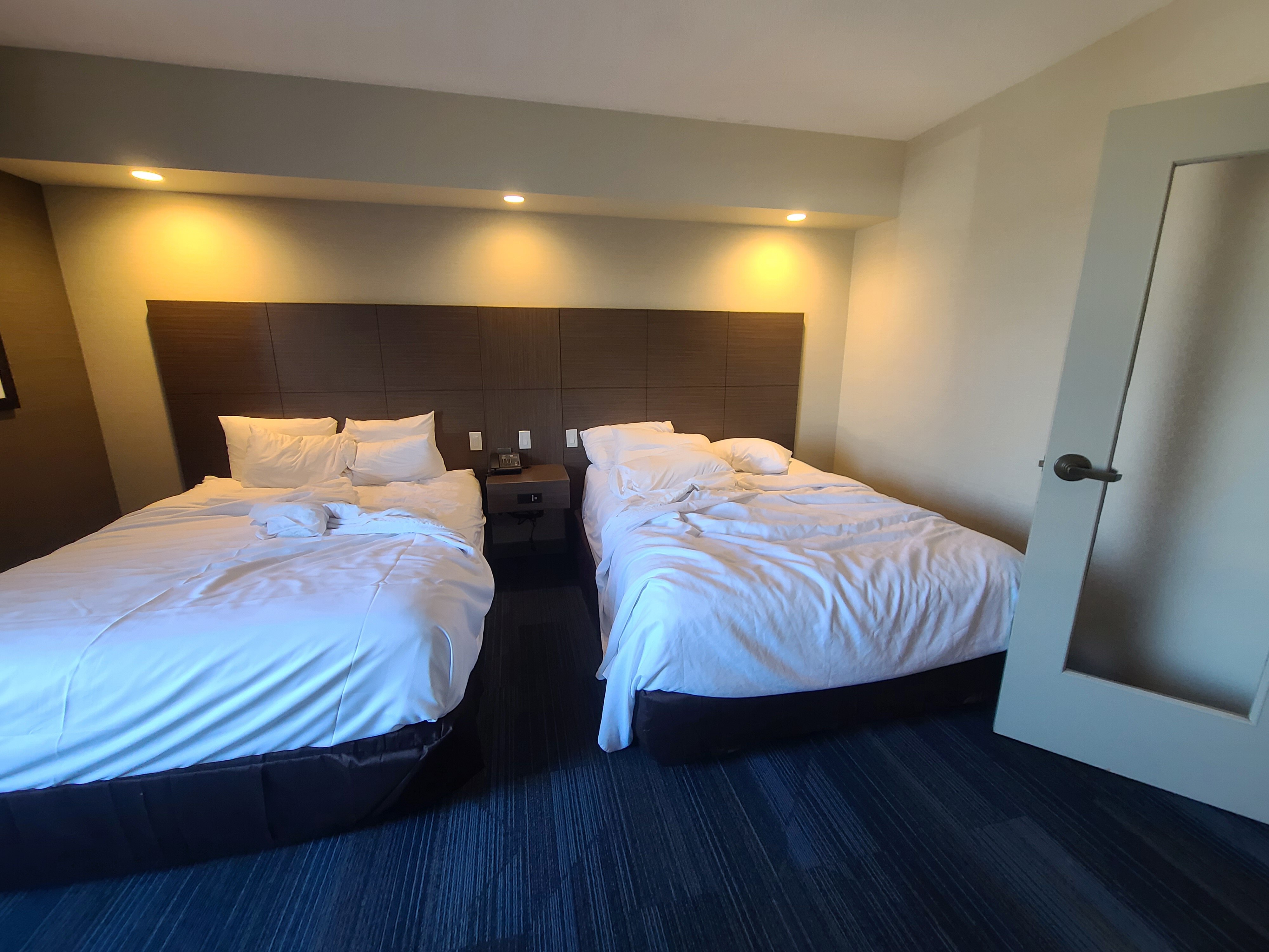 Clarion Hotel & Suites-客卧