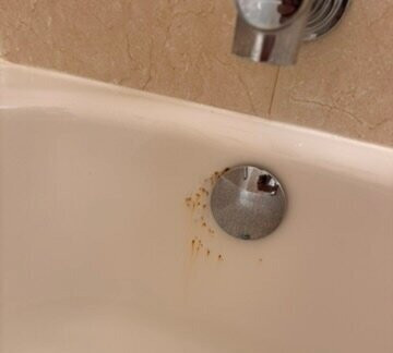 尼德姆喜来登酒店主图