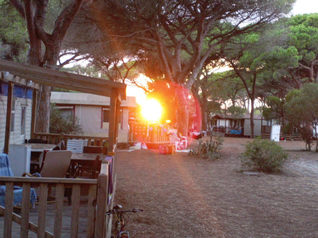 Camping S'Ena Arrubia主图