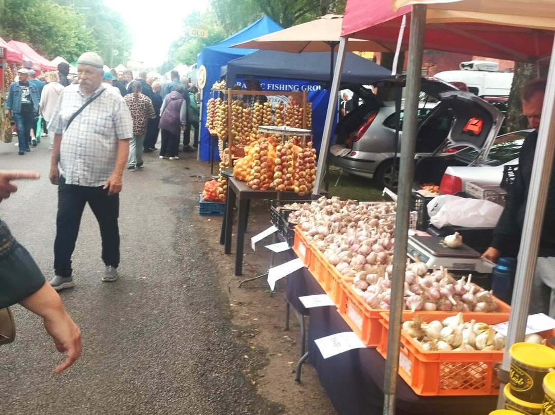 Kallaste Turu-Kallaste必去景点