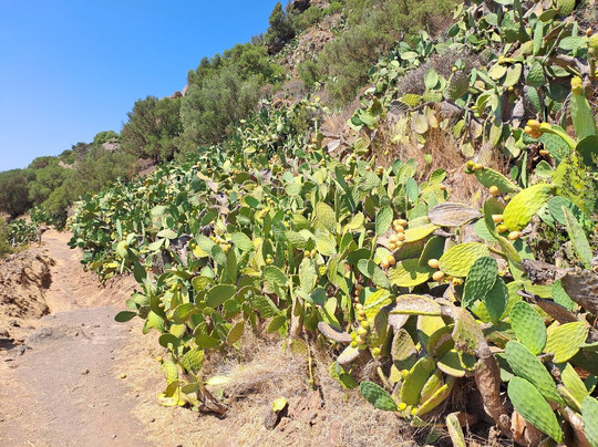 Bagno Asciutto Grotta Di Benikulá