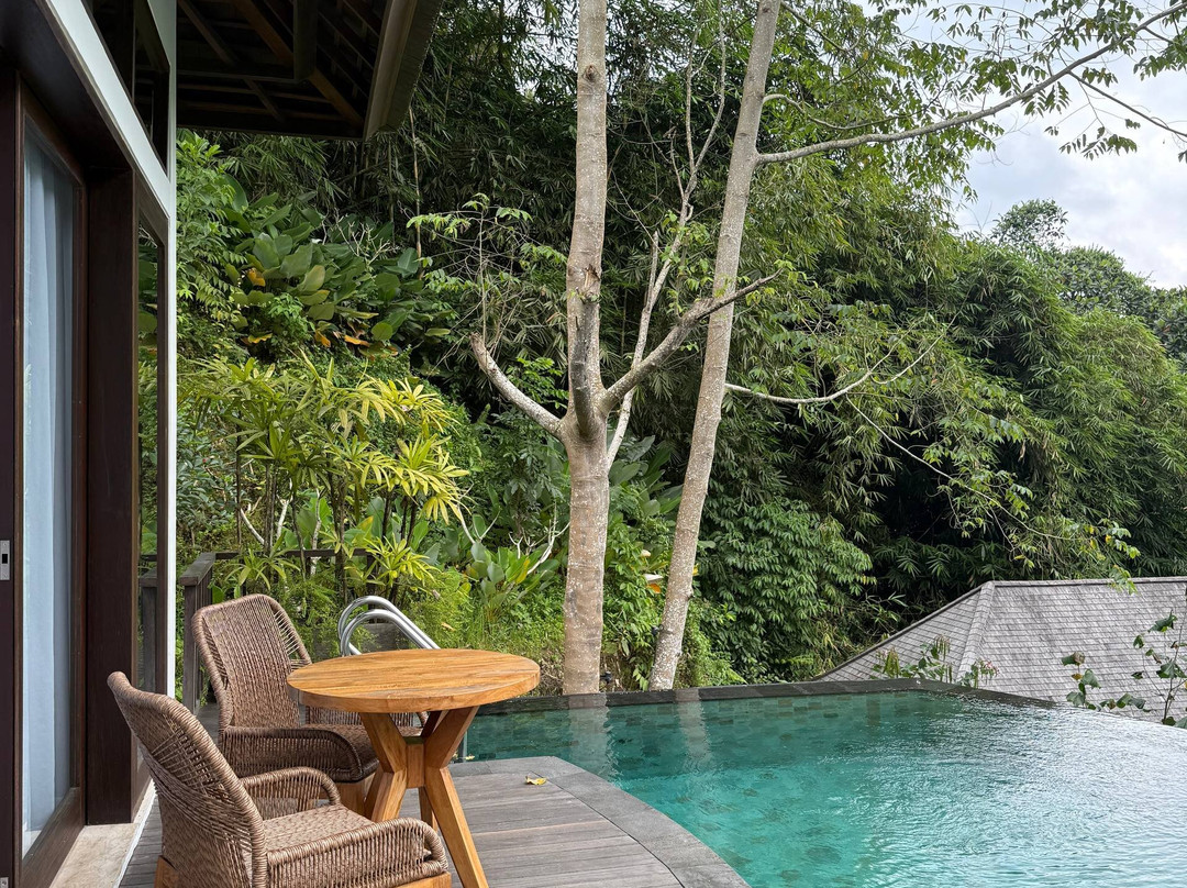 Cicada Resort Bali Ubud, Autograph Collection主图