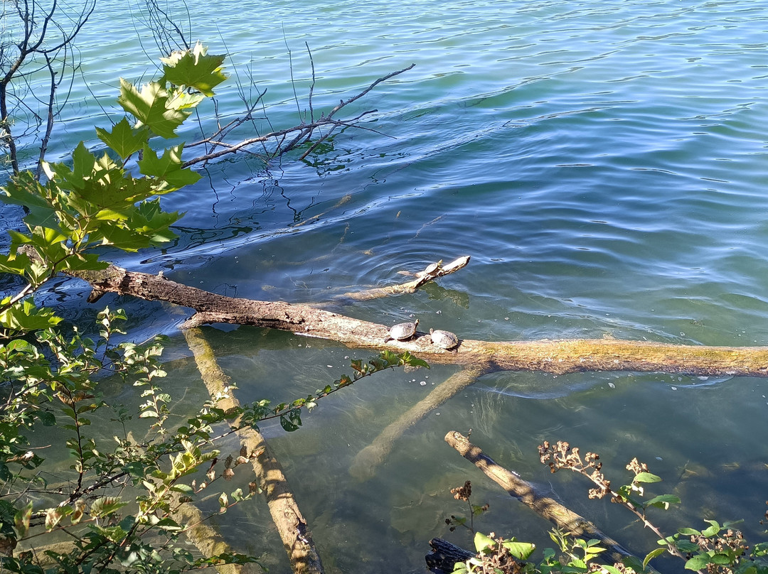 Parco Naturale dei Laghi di Avigliana-阿维利亚纳必去景点