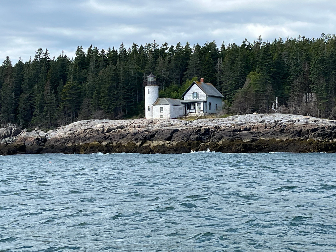 Robertson Sea Tours & Adventures-Milbridge必去景点