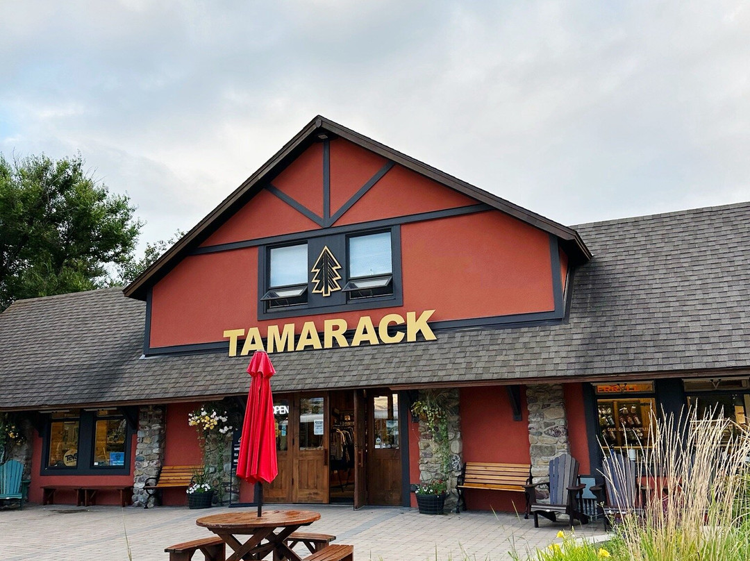 Tamarack Outdoors