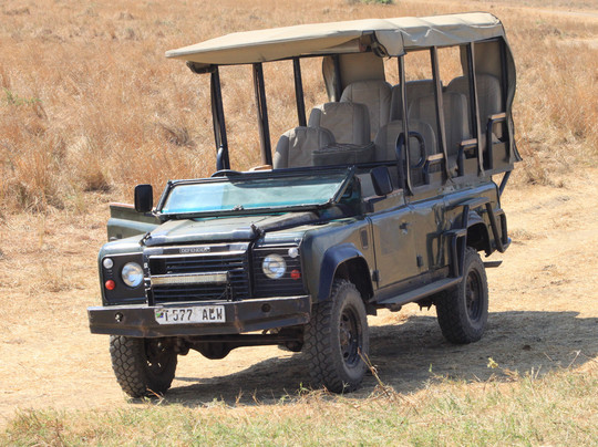 Africalife Tours and Safaris.-莫西必去景点