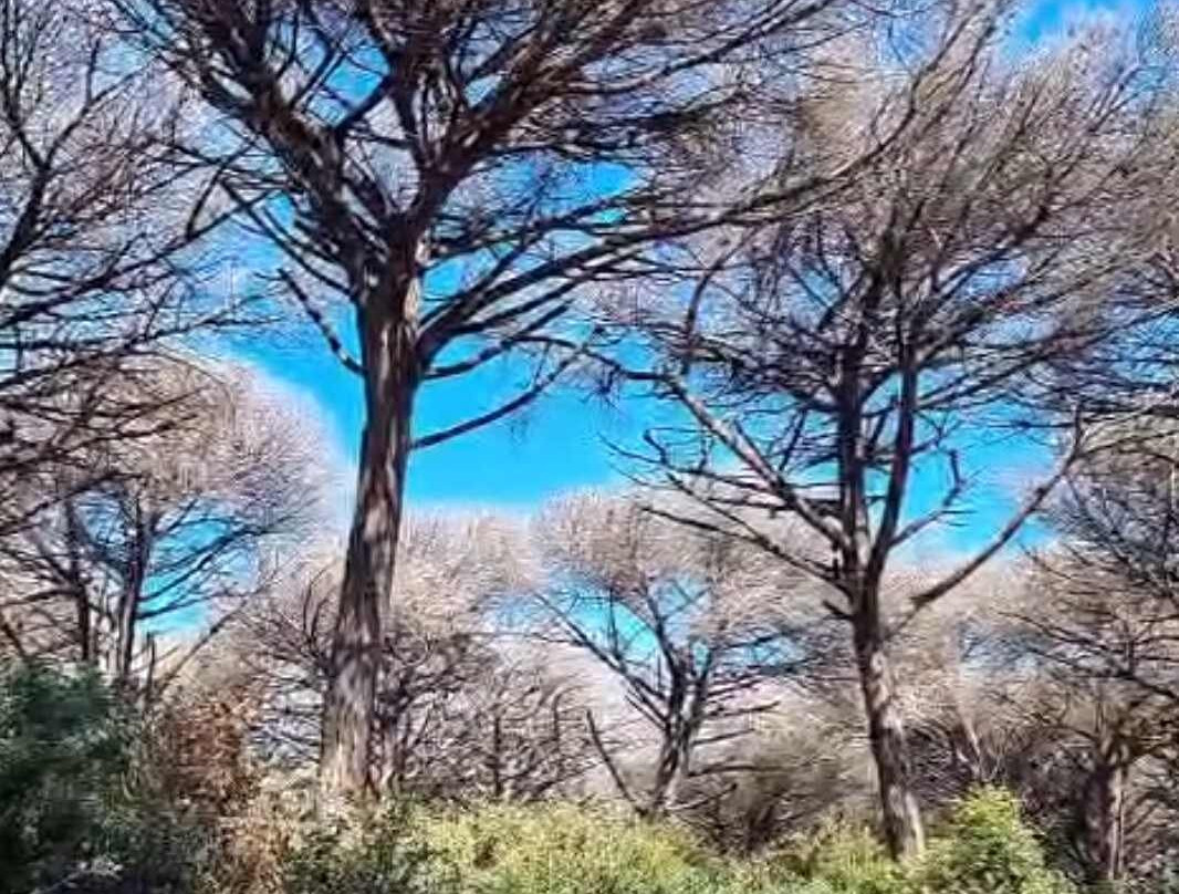 Torre Astura-Nettuno必去景点