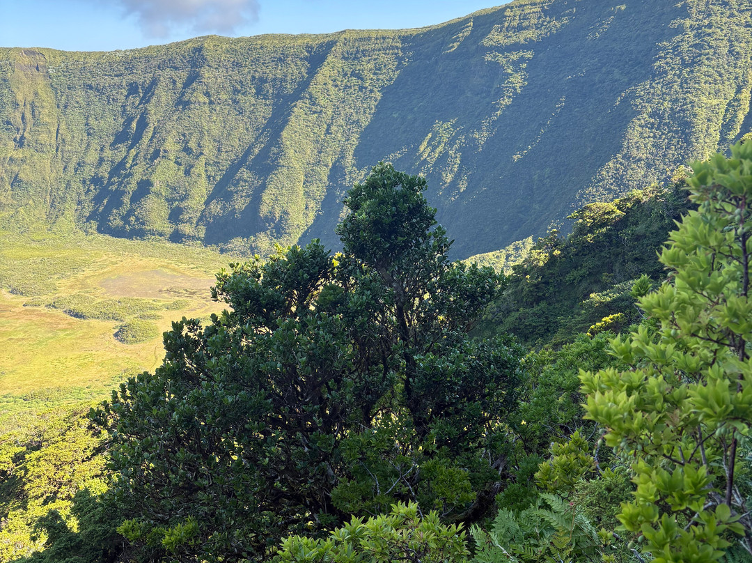 Endemic Azores-奥尔塔必去景点