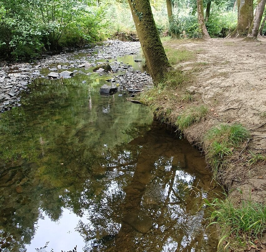 Tarka Trail Cycle Hire-巴恩斯特珀尔必去景点
