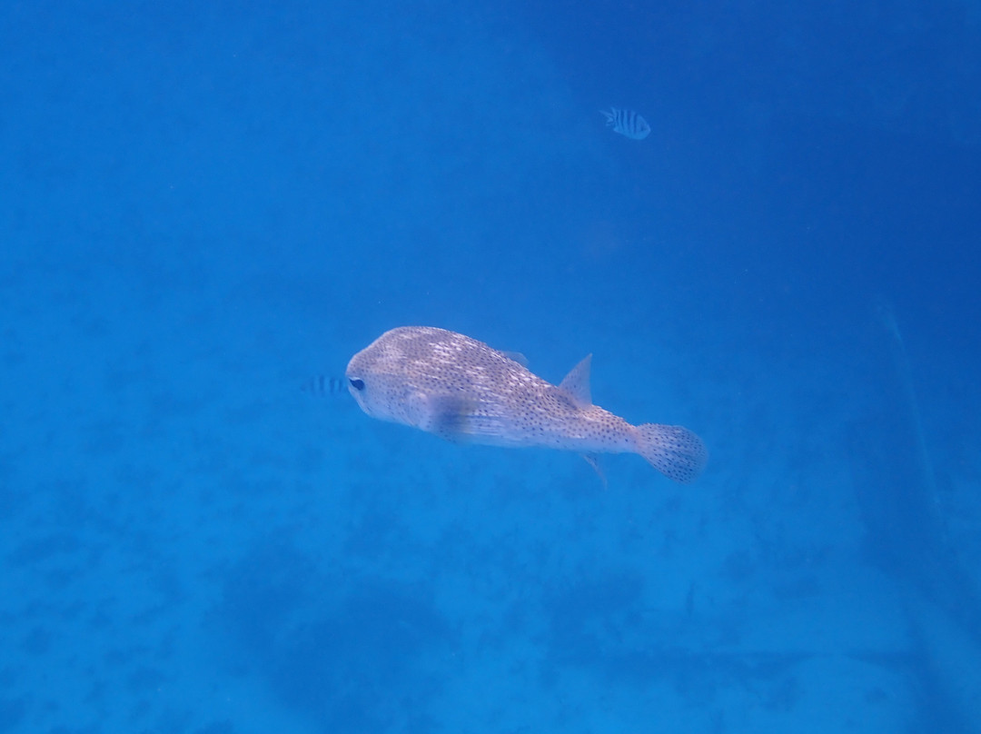 Tahiti Lagoon Paradise-大溪地必去景点