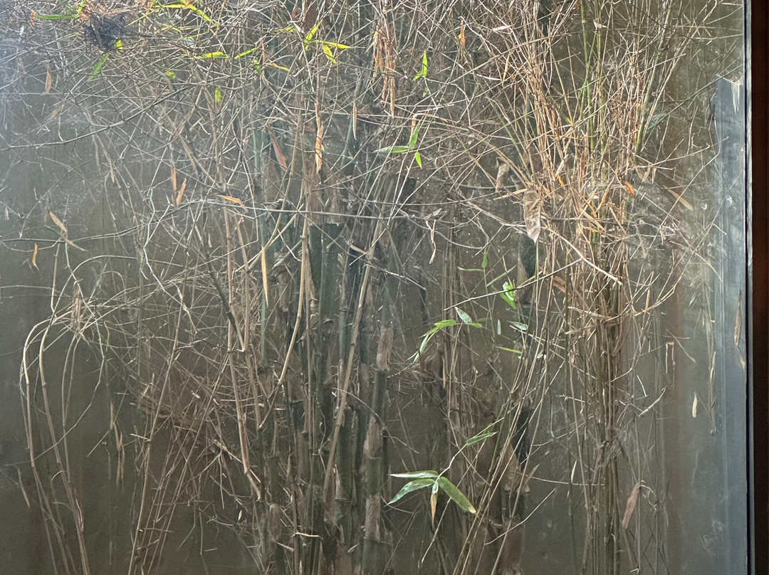 MYSA Zinc Journey by The Fern, Nani Devati, Gujarat主图