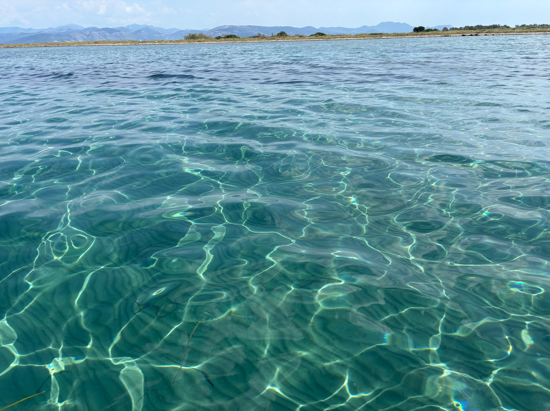 Captain Homer's Boat Trips-Messonghi必去景点