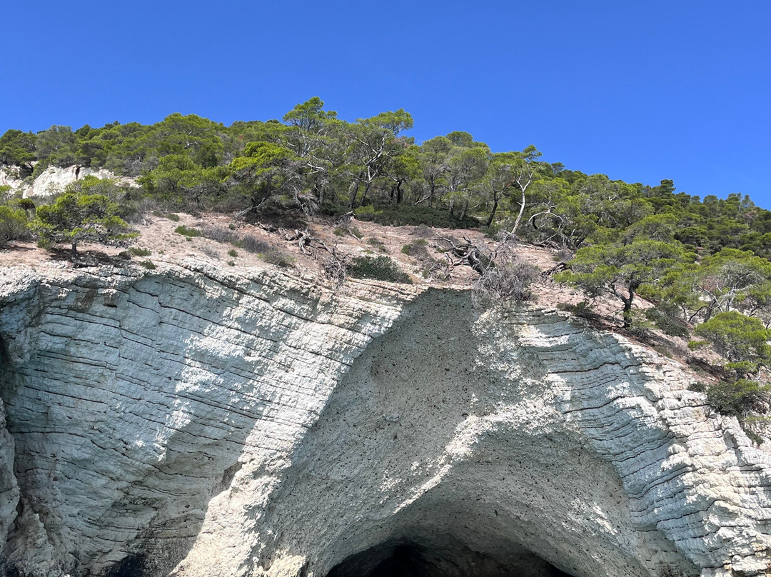 Costante Nicola Agenzia Tour Delle Grotte-佩斯基奇必去景点