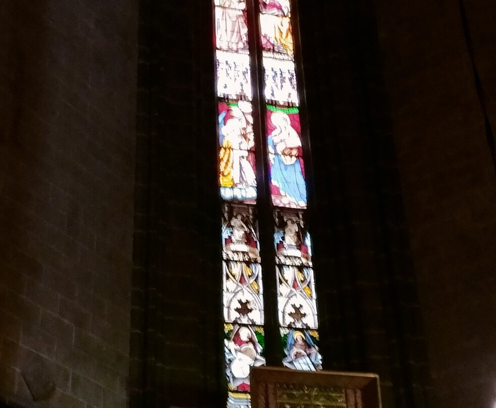 Perpignan Cathedral-佩皮尼昂必去景点
