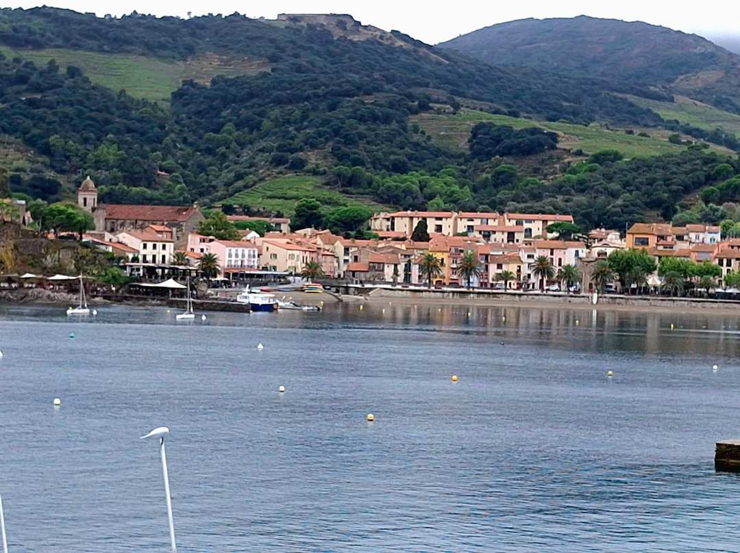Tourist Office of Collioure-科利乌尔必去景点