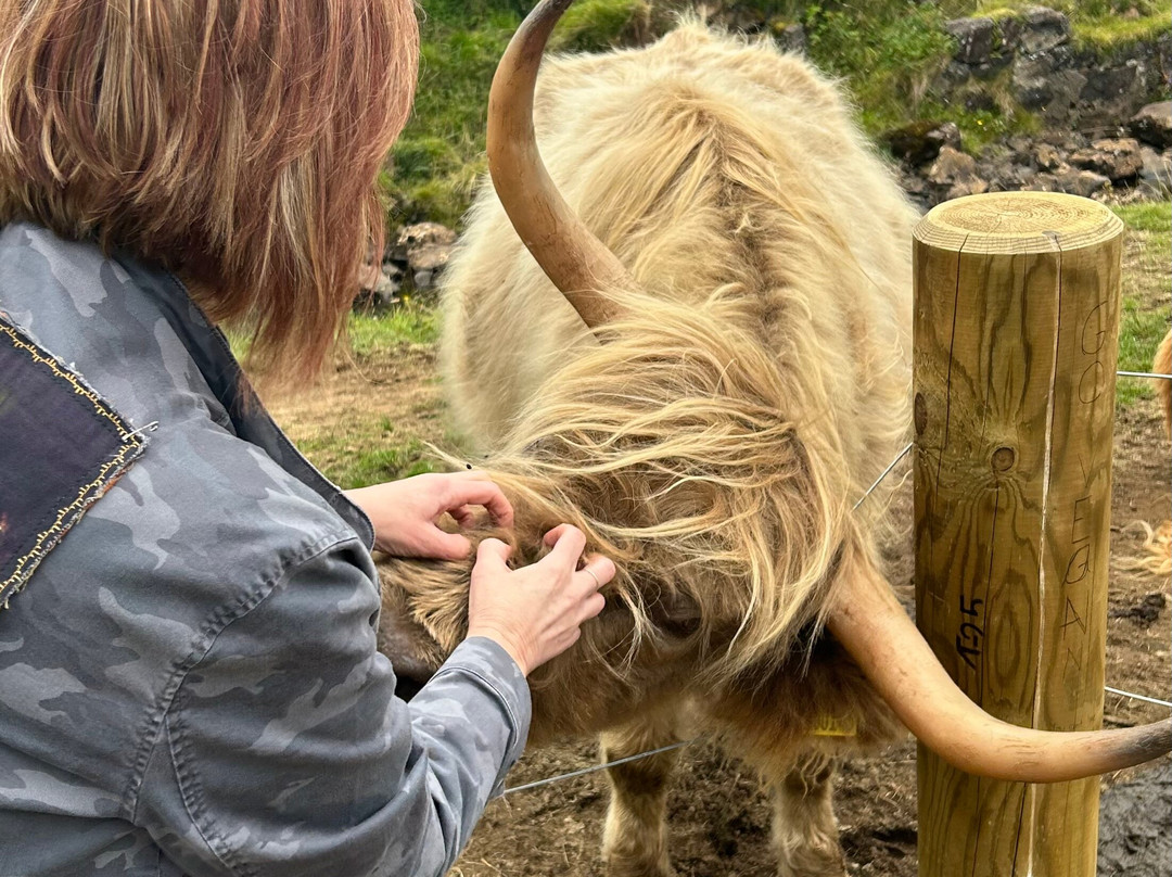 Tullochard House B&b主图