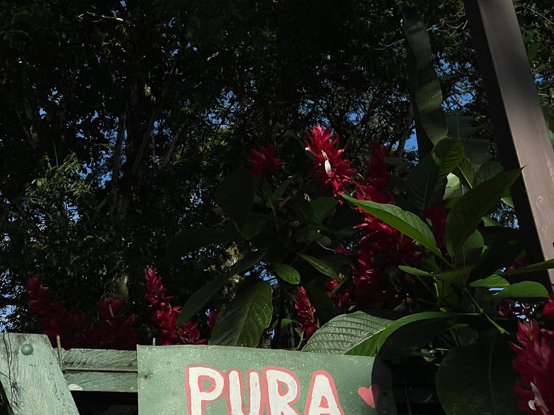 Chilamate Rainforest Eco Retreat主图