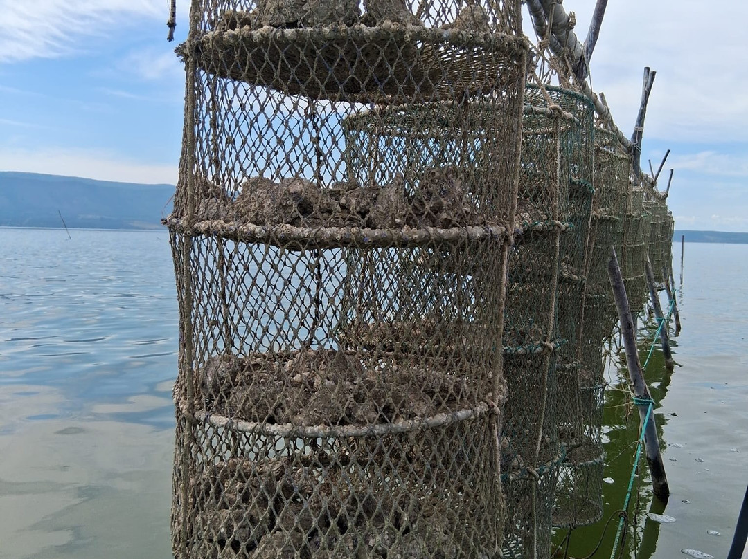 NavigaVarano-Foce Varano必去景点