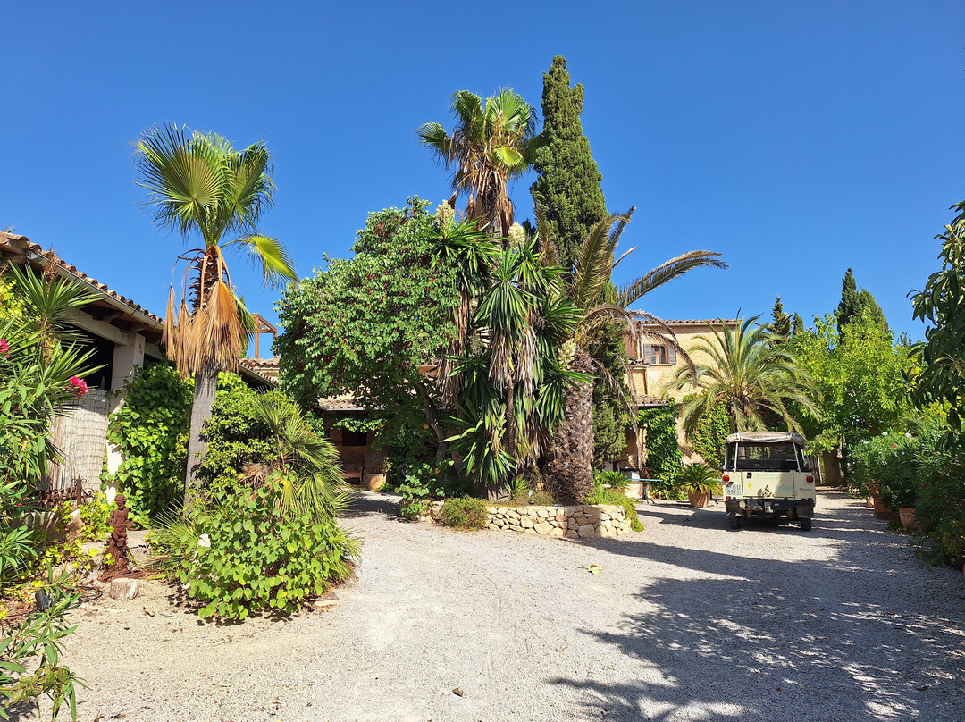 Finca Son Jorbo主图