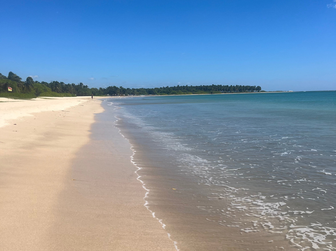 Triplanka Tours-科伦坡必去景点