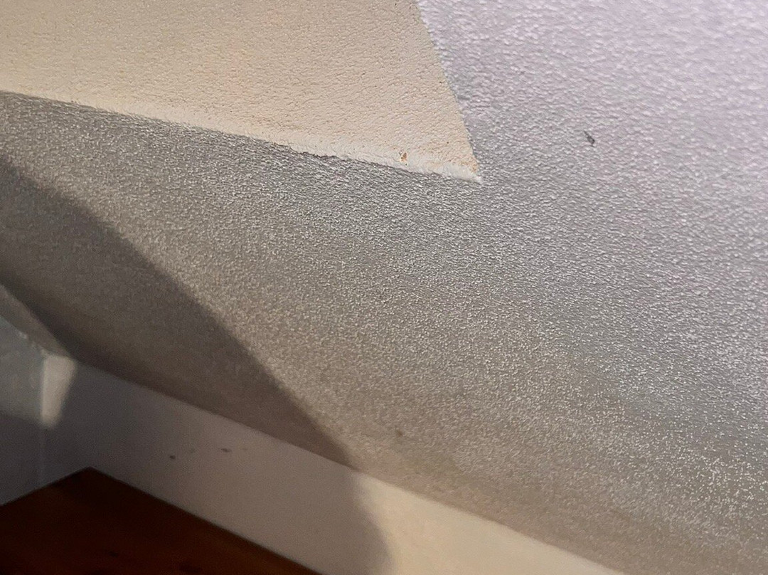 Hotel Gaestehaus Hochmann主图