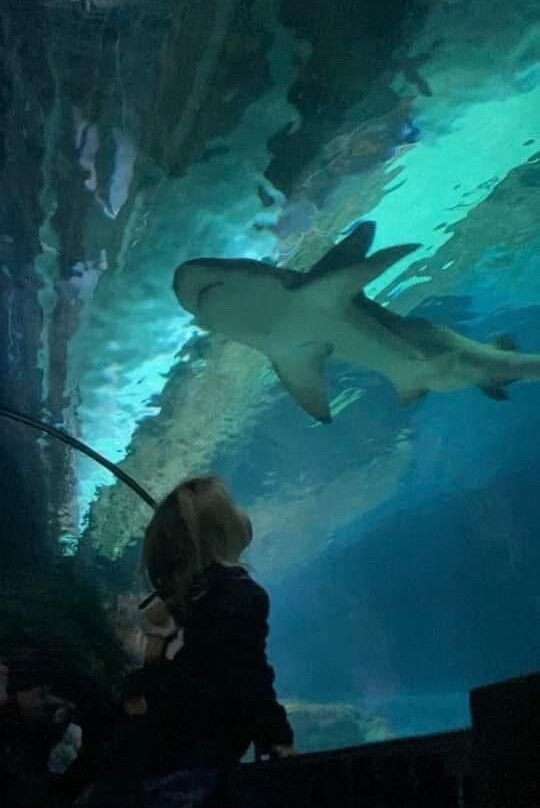 Six Flags Discovery Kingdom-瓦列霍必去景点